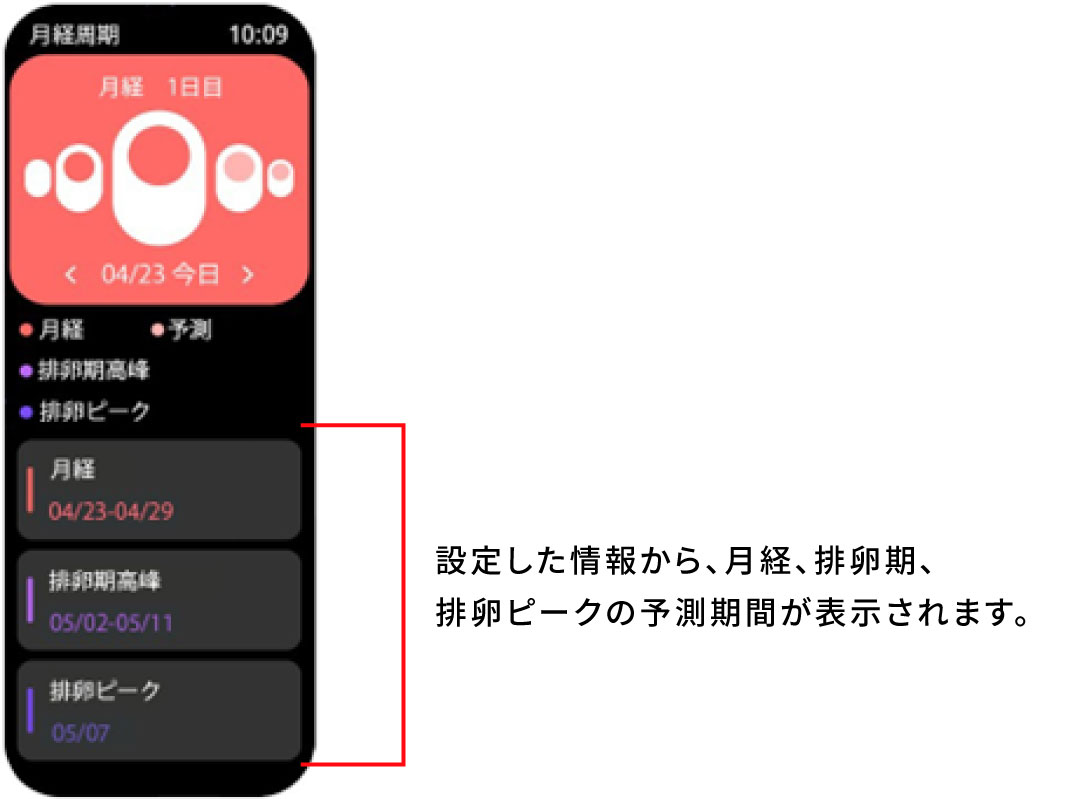 月経周期02