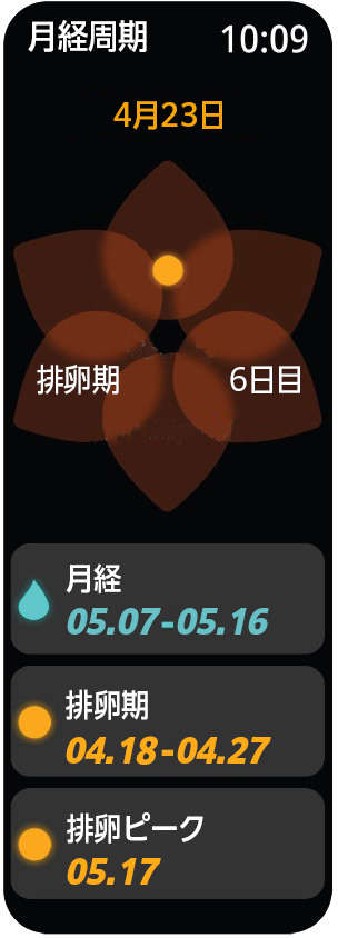 月経周期04