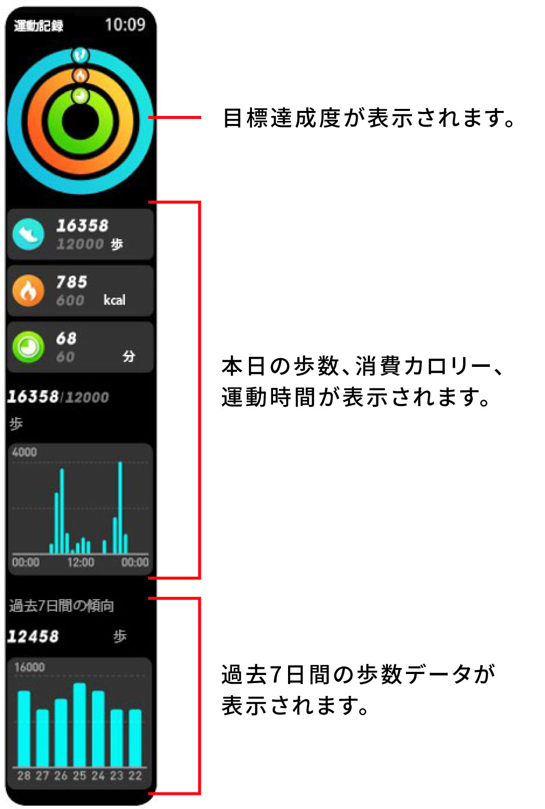運動記録